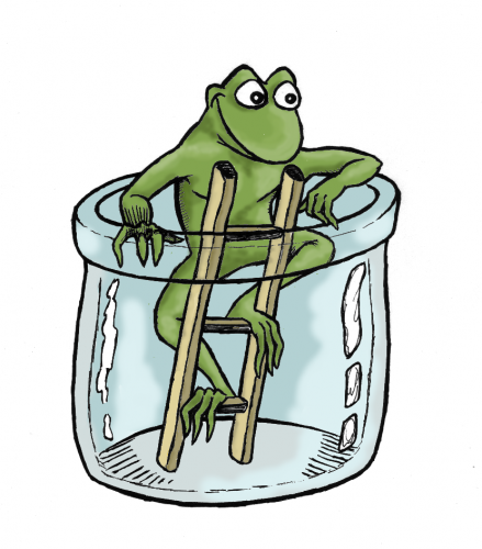 grenouille-color.png